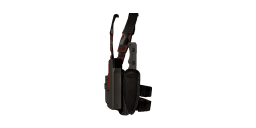Aegis Holster